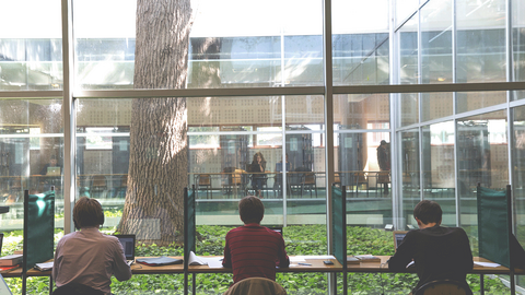 travail_bu_bibliotheque