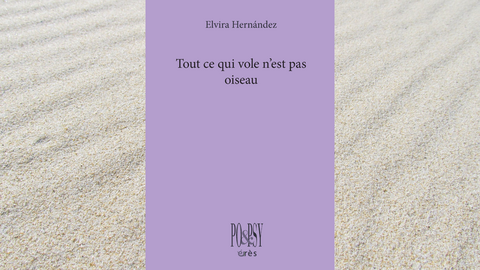 Couverture du livre Tout ce qui vole n'est pas oiseau