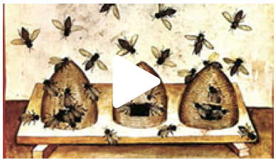 Dessin d'une ruche et d'abeilles
